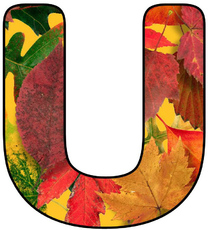 Herbstbuchstabe-5-U.jpg